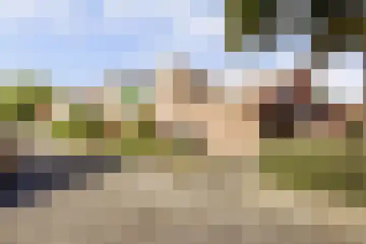 Gaard 50 Spijkenisse thumbnail 24