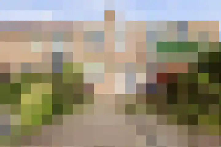 Gaard 50 Spijkenisse thumbnail 25