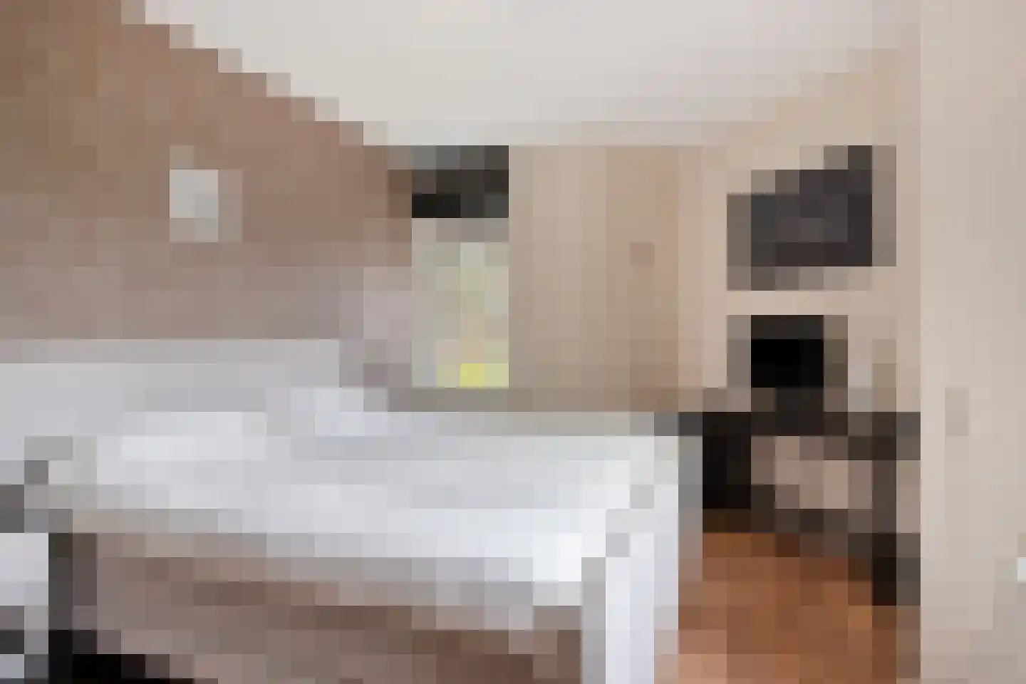 Gaard 52 Spijkenisse thumbnail 18