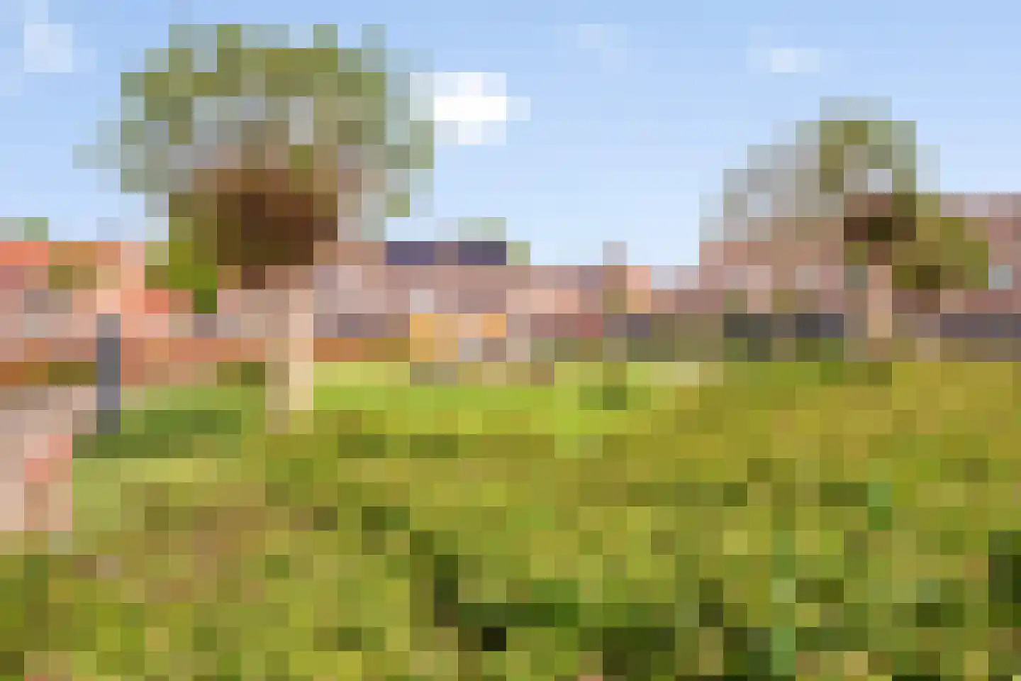 Gaard 52 Spijkenisse thumbnail 32