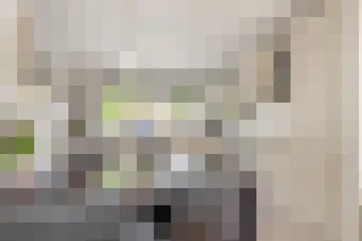 Gaard 7 Heerhugowaard thumbnail 10