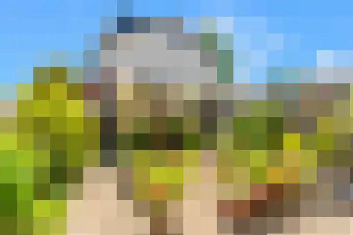 Gaard 7 Heerhugowaard thumbnail 17