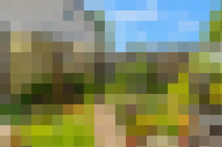 Gaard 7 Heerhugowaard thumbnail 30