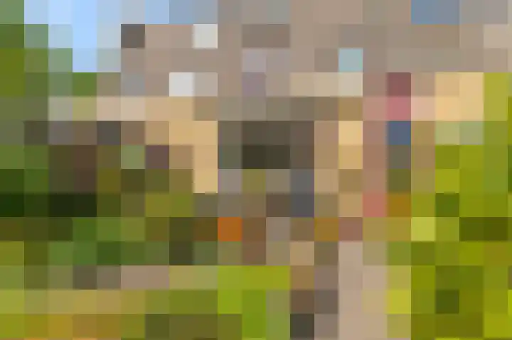 Gaard 7 Heerhugowaard thumbnail 4