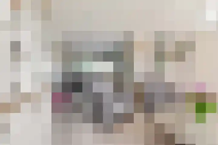 Gaard 7 Heerhugowaard thumbnail 7