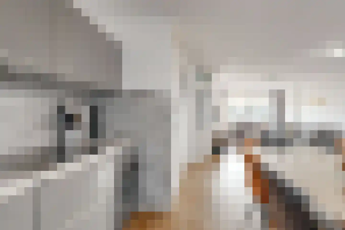 Gaard 8 Heerhugowaard thumbnail 10