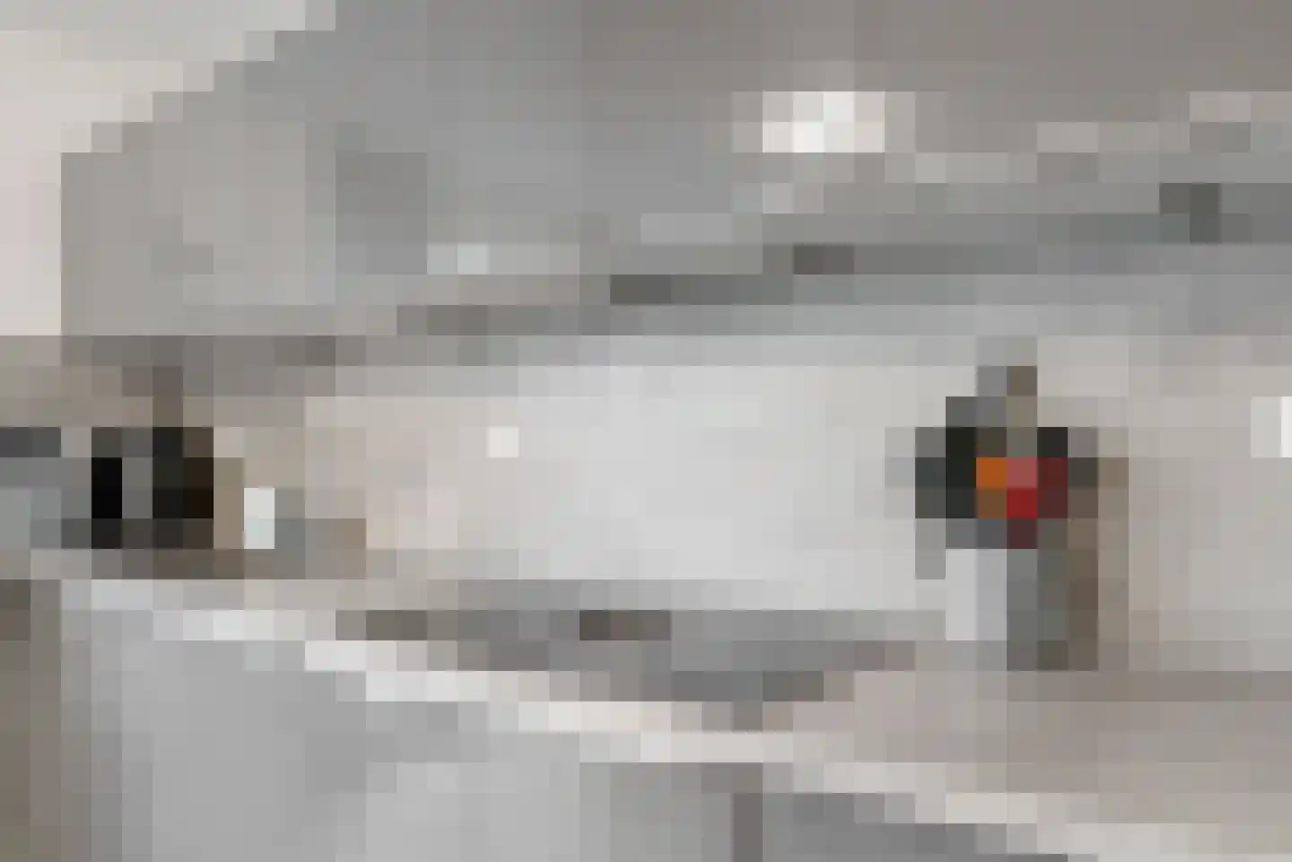 Gaard 8 Heerhugowaard thumbnail 11