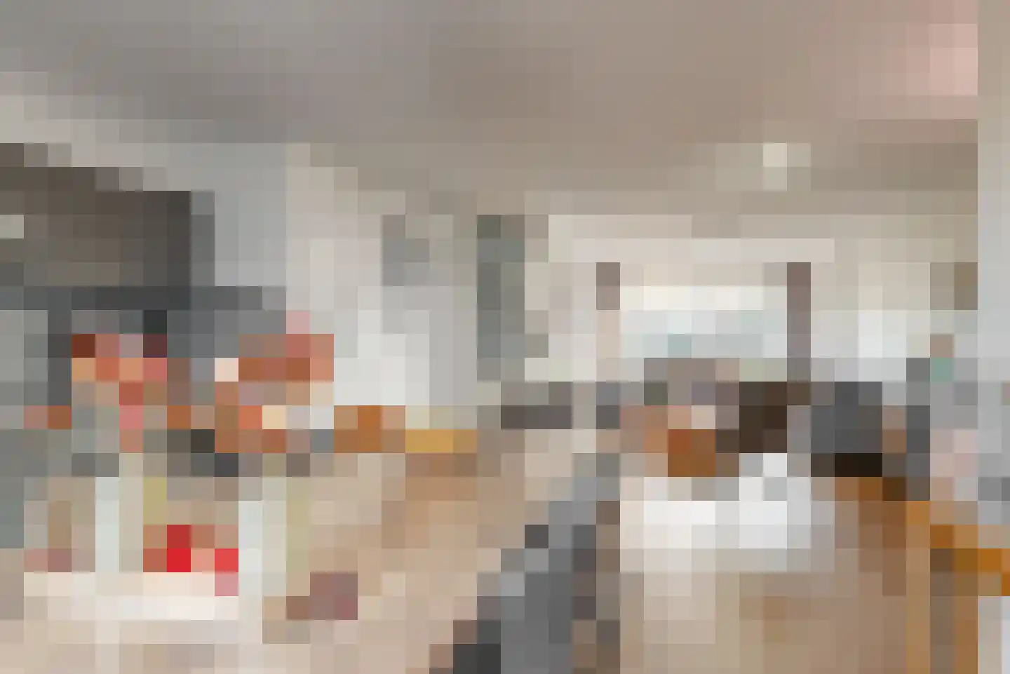 Gaard 8 Heerhugowaard thumbnail 9