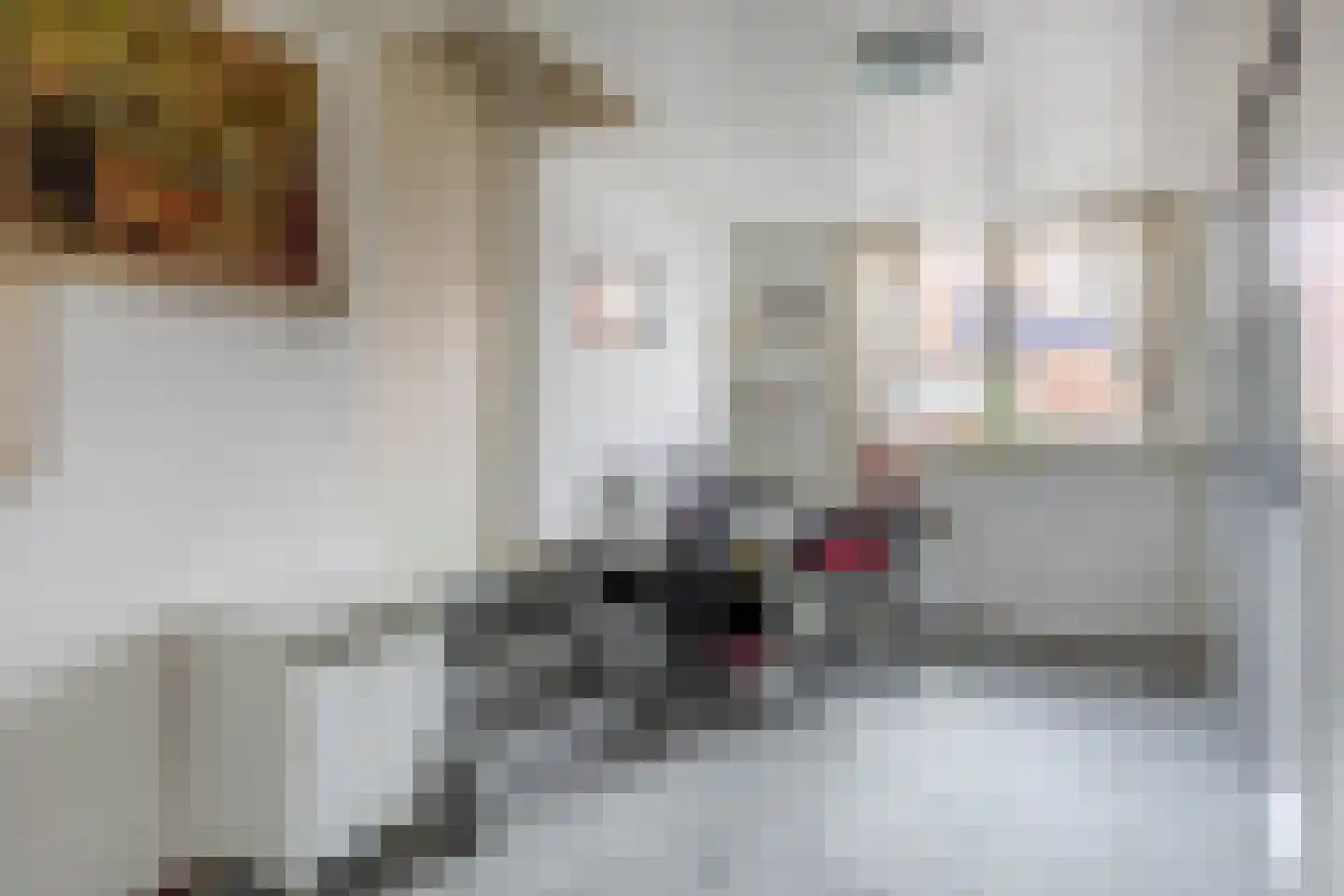 Gaarde 14 Hoogvliet Rotterdam thumbnail 39