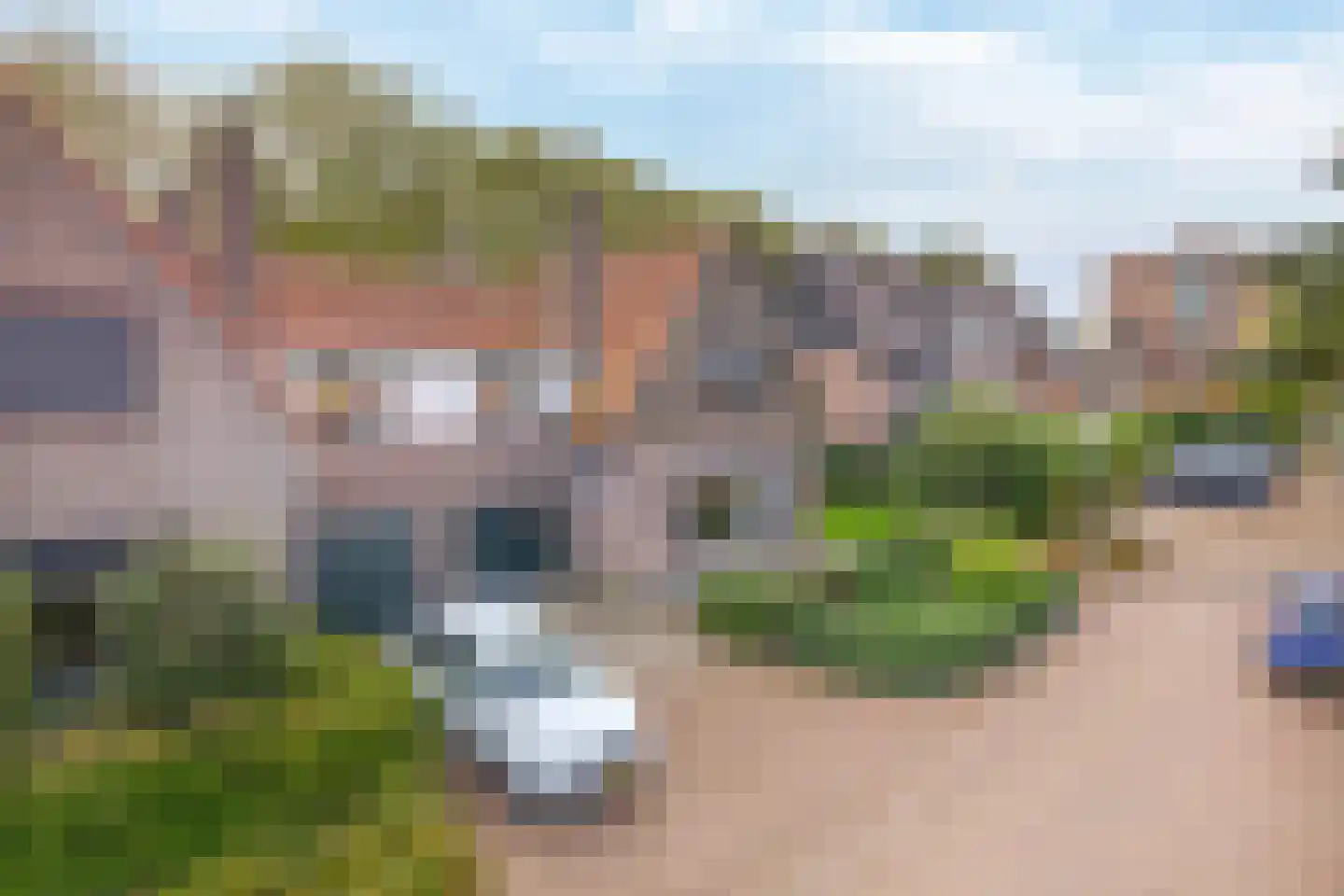 Gaarde 14 Hoogvliet Rotterdam thumbnail 5