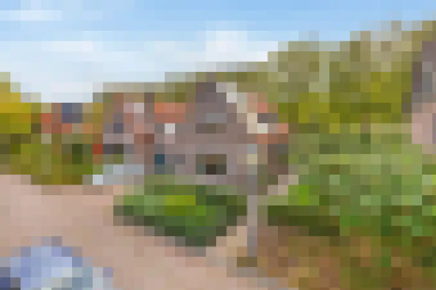 Gaarde 14 Hoogvliet Rotterdam thumbnail 6