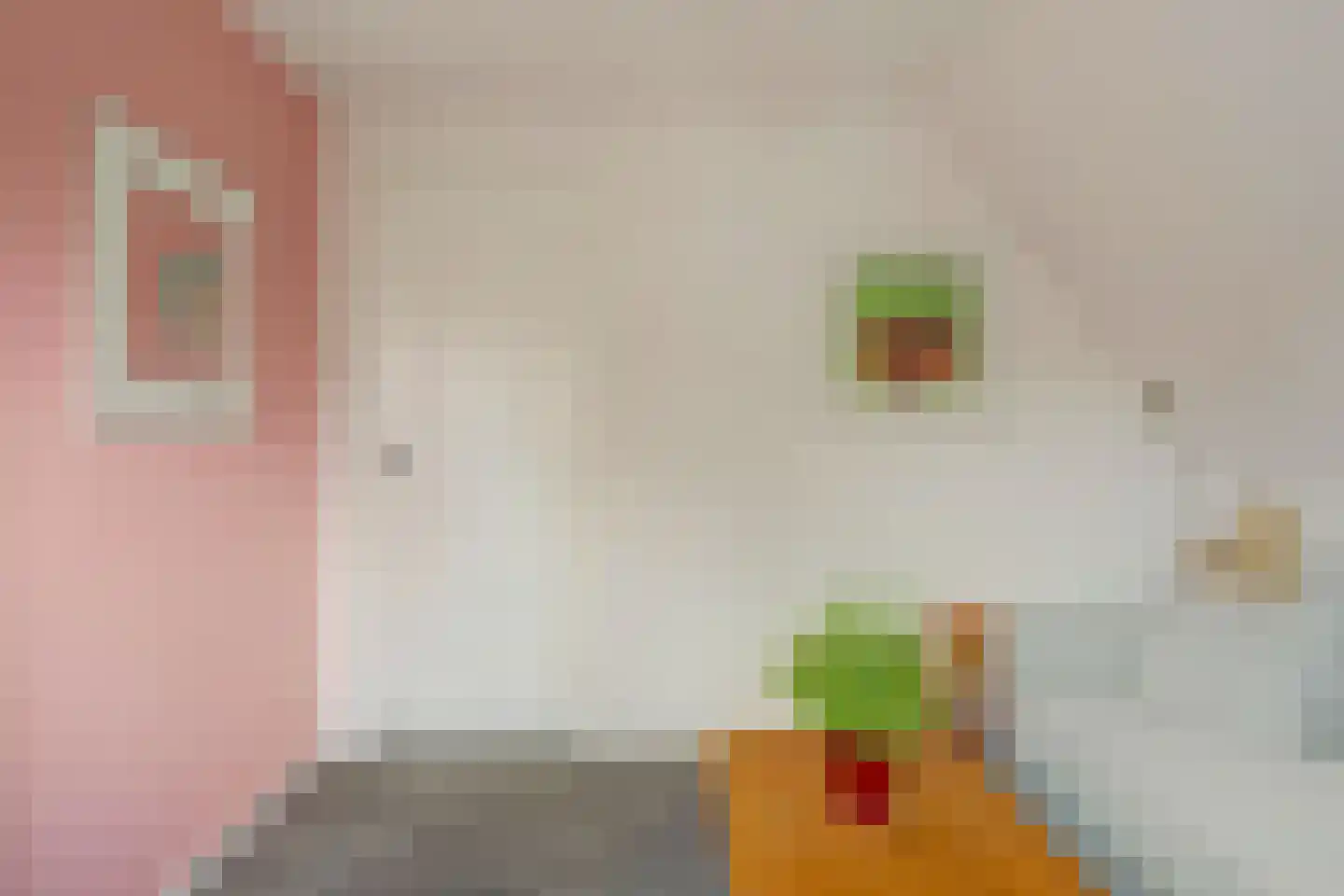 Gaarde 15 Hoogvliet Rotterdam thumbnail 18