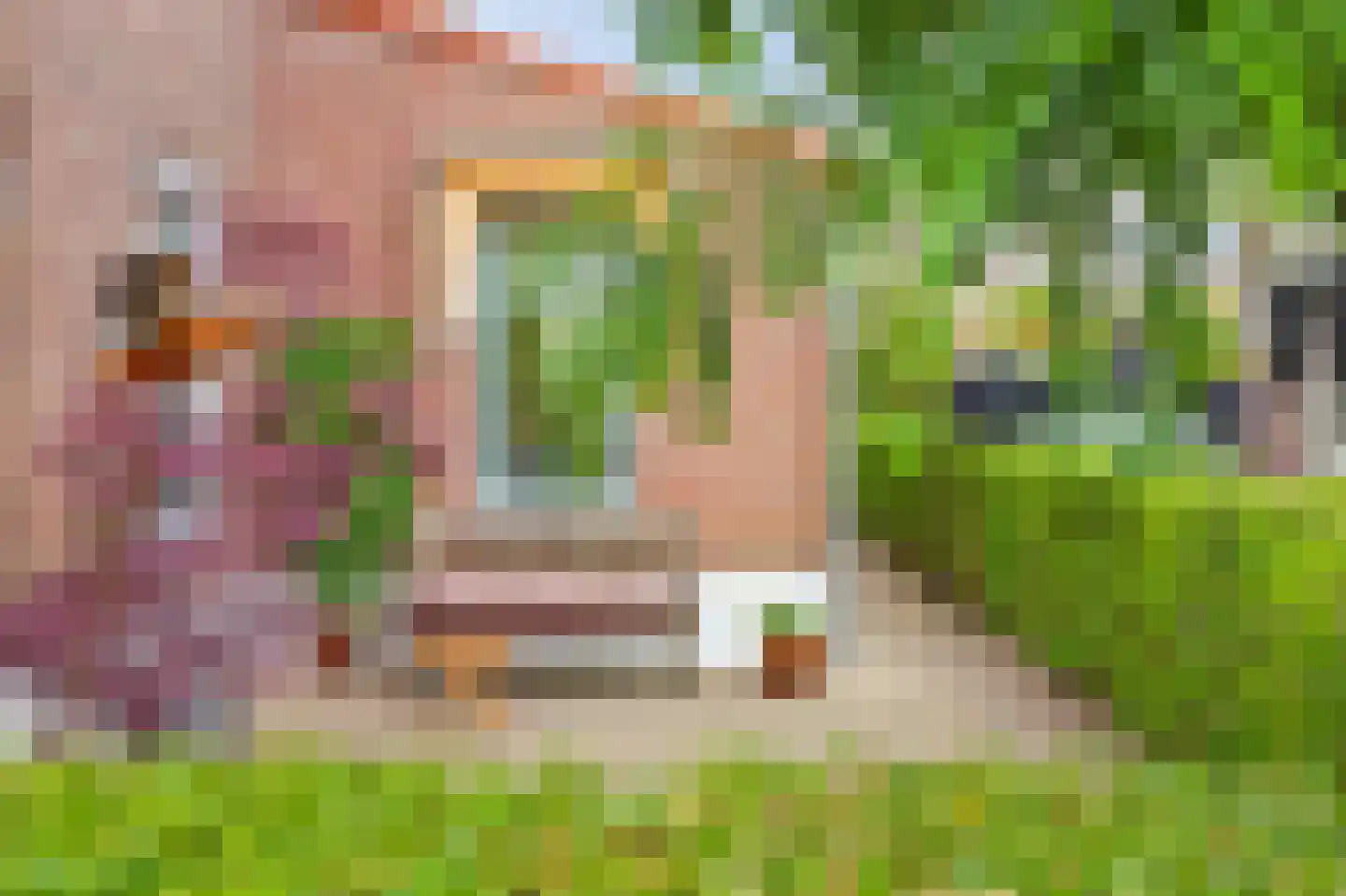 Gaarde 15 Hoogvliet Rotterdam thumbnail 35