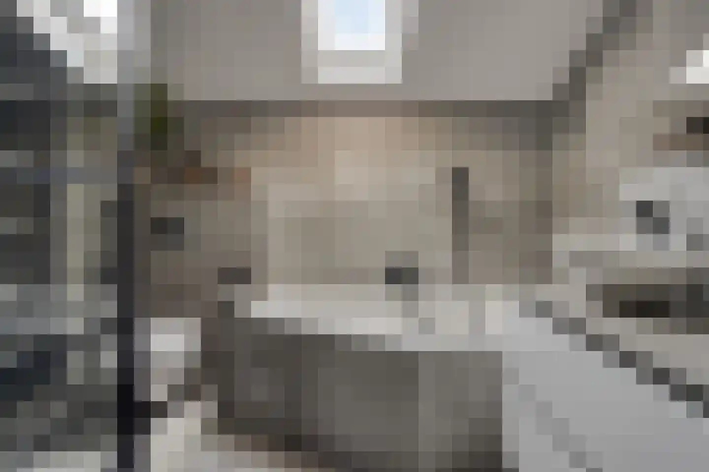 Gaarde 16 Hoogvliet Rotterdam thumbnail 19