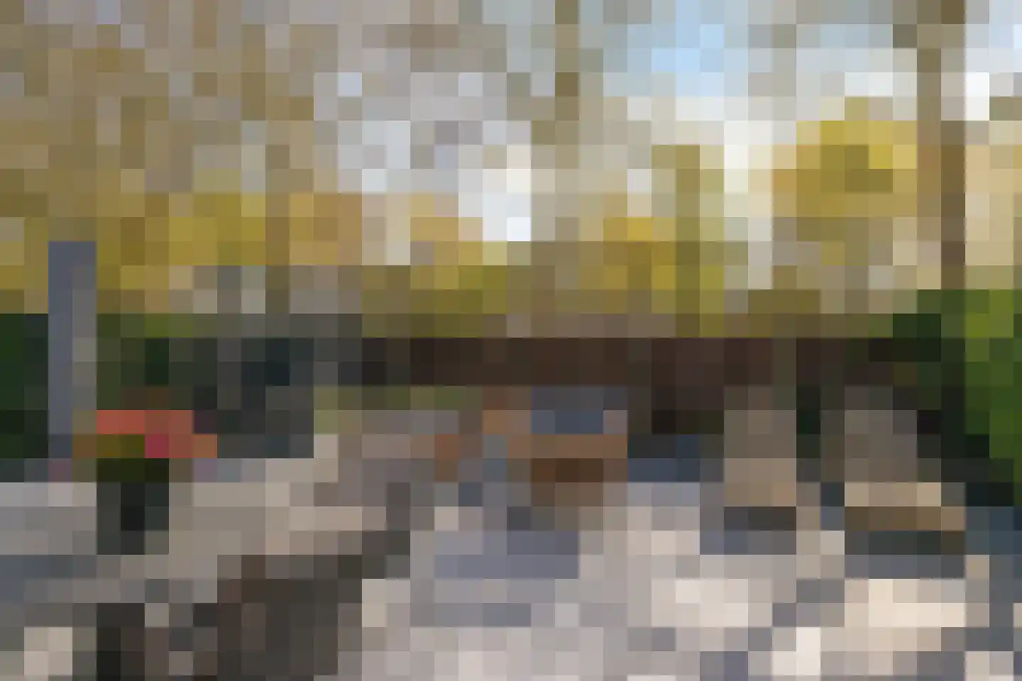 Gaarde 16 Hoogvliet Rotterdam thumbnail 32