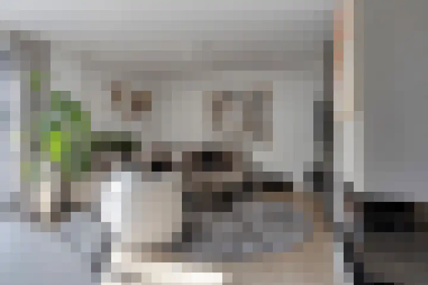 Gaarde 16 Hoogvliet Rotterdam thumbnail 6