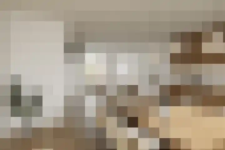Gaarde 3 Rozenburg thumbnail 10