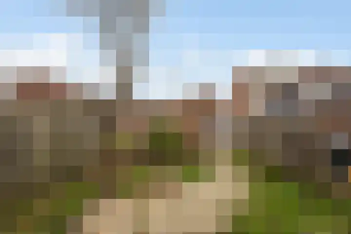 Gaarde 3 Rozenburg thumbnail 16