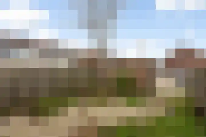 Gaarde 3 Rozenburg thumbnail 17