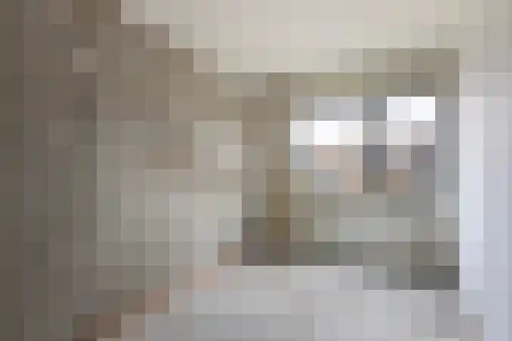 Gaarde 3 Rozenburg thumbnail 28