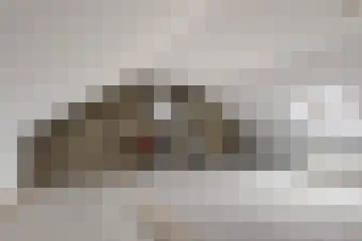 Gaarde 3 Rozenburg thumbnail 36