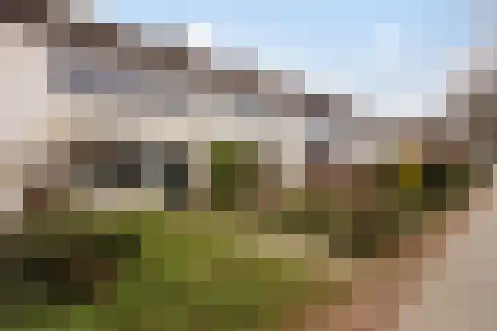 Gaarde 3 Rozenburg thumbnail 43