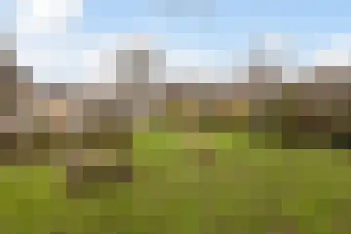 Gaarde 3 Rozenburg thumbnail 47