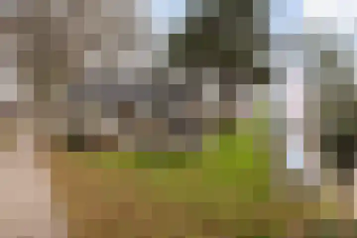 Gaarde 3 Rozenburg thumbnail 48