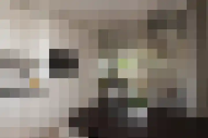 Gaarde 33 Dongen thumbnail 11