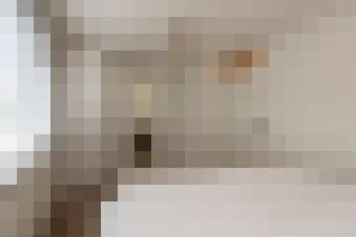 Gaarde 33 Dongen thumbnail 16