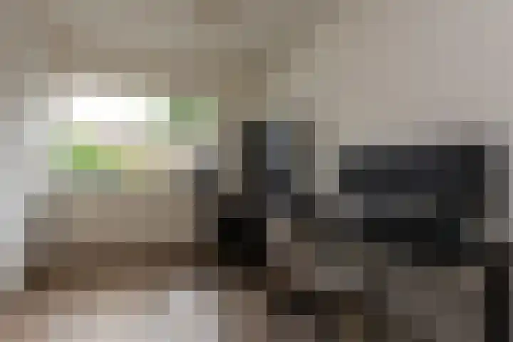 Gaarde 33 Dongen thumbnail 19