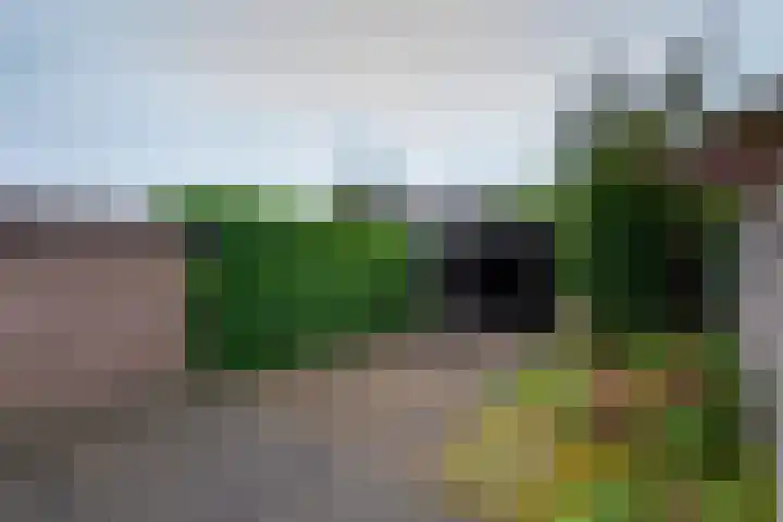 Gaarde 33 Dongen thumbnail 26