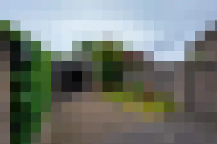 Gaarde 33 Dongen thumbnail 27