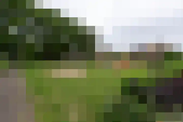 Gaarde 33 Dongen thumbnail 34