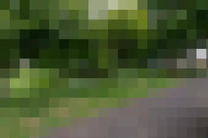 Gaarde 33 Dongen thumbnail 35