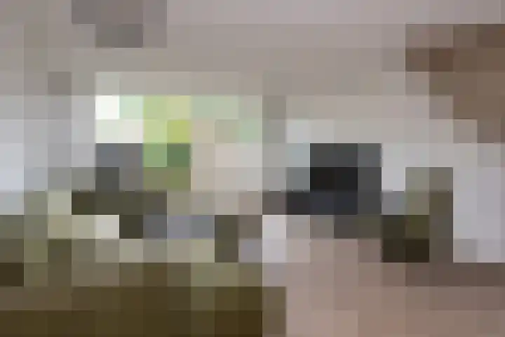 Gaarde 33 Dongen thumbnail 4