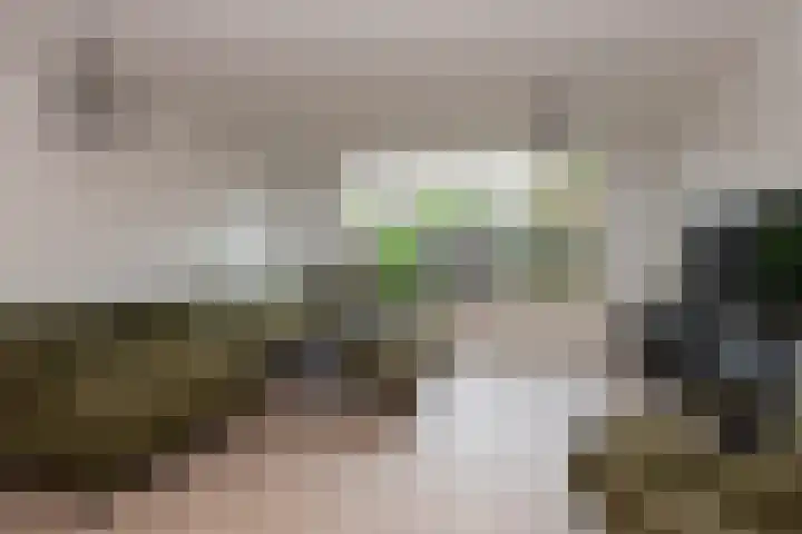 Gaarde 33 Dongen thumbnail 5
