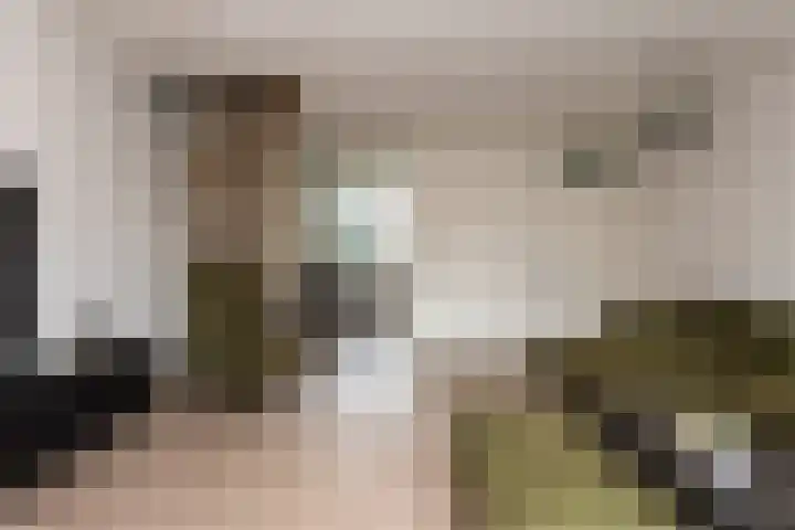 Gaarde 33 Dongen thumbnail 7