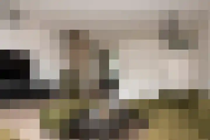 Gaarde 33 Dongen thumbnail 8