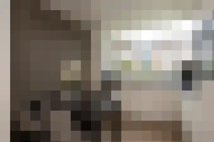 Gaarde 33 Dongen thumbnail 9