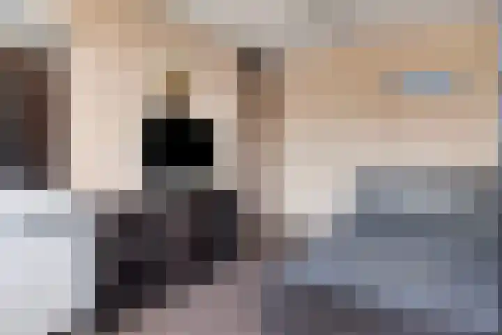 Gaarde 52 Dongen thumbnail 22