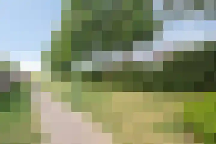 Gaarde 52 Dongen thumbnail 31
