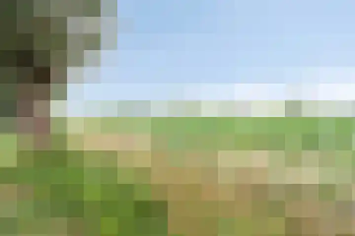 Gaarde 52 Dongen thumbnail 32