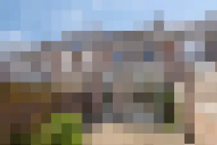 Gaarde 52 Dongen thumbnail 6
