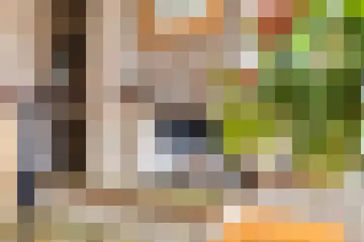 Gaarde 71 Dongen thumbnail 13
