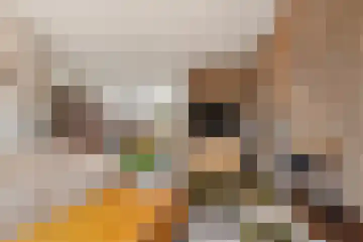Gaarde 71 Dongen thumbnail 14