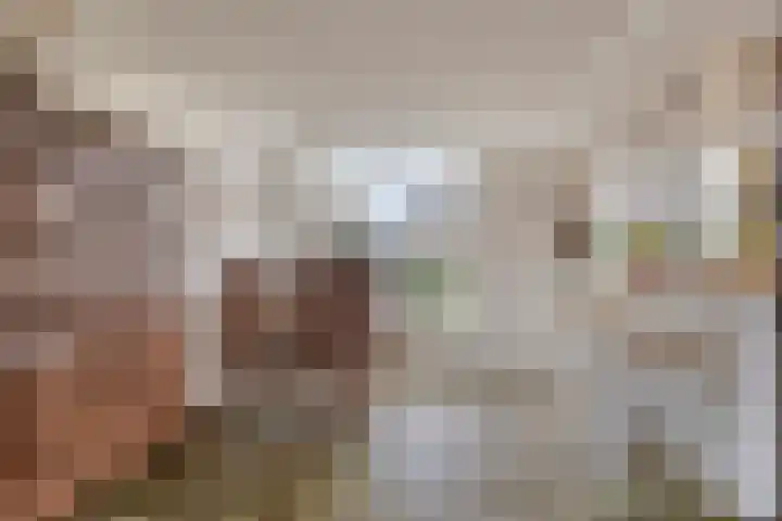 Gaarde 71 Dongen thumbnail 16