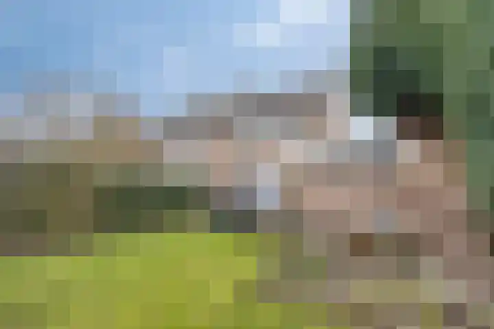 Gaarde 71 Dongen thumbnail 37