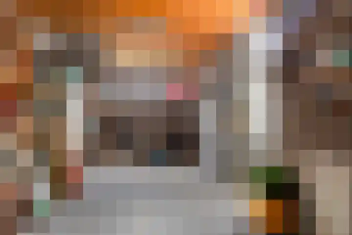 Gaarde 71 Dongen thumbnail 40