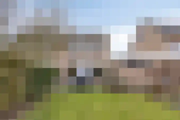 Gaarde 71 Dongen thumbnail 5